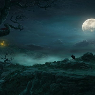 1920 x 1080 HD Wallpapers 3357